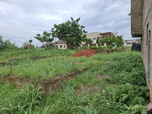 Half Plot of Land for Sale in Daban