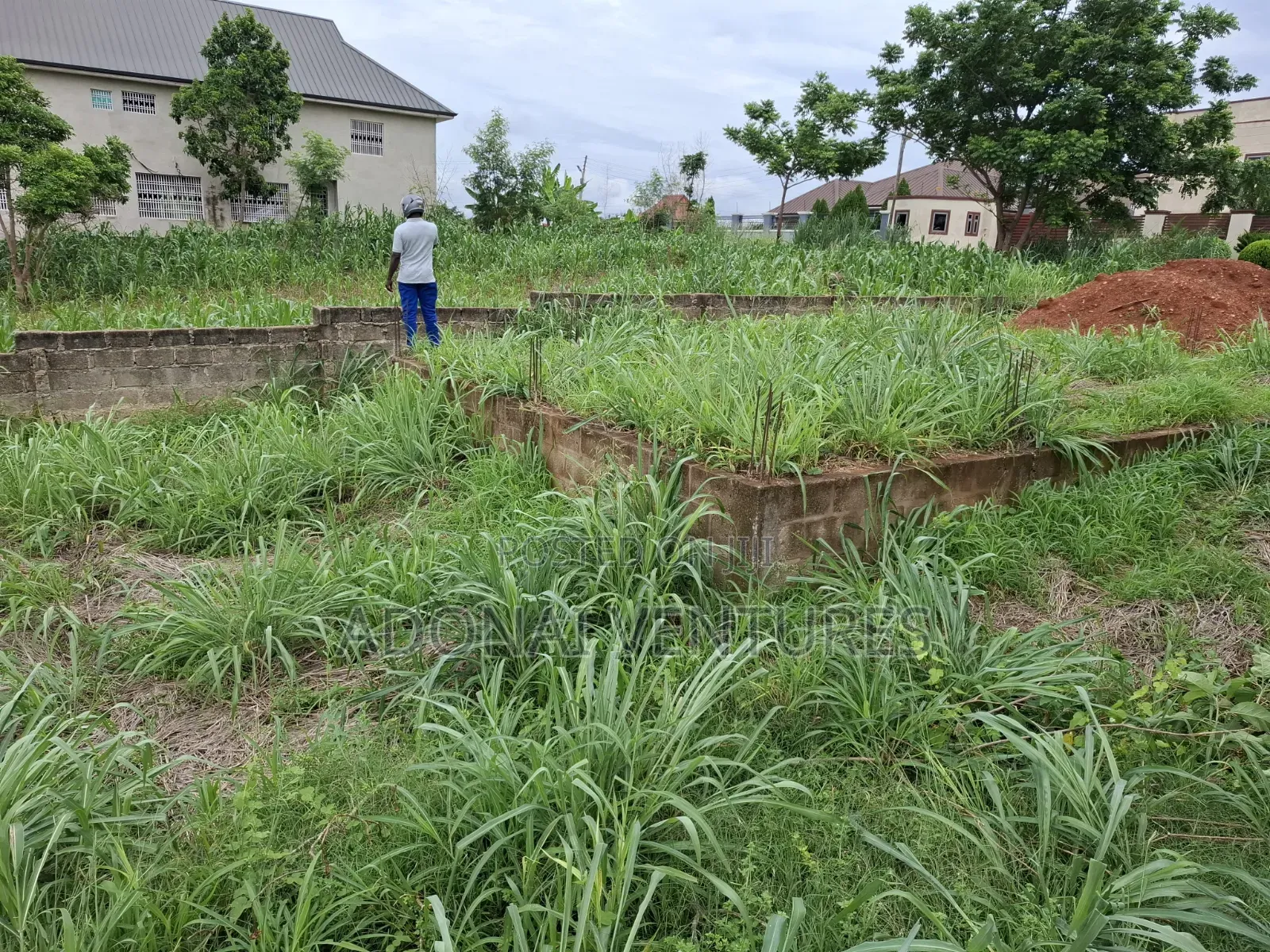 Half Plot of Land for Sale in Daban