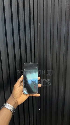 Apple iPhone 11 Pro Max 256 GB Black