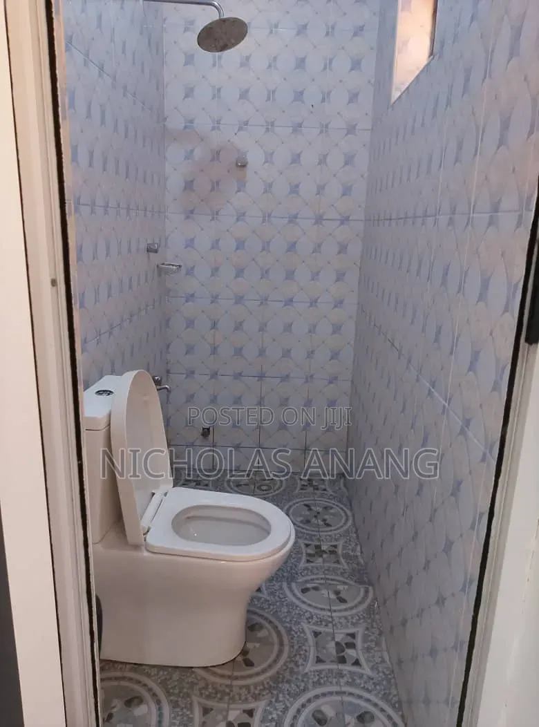 1bdrm Apartment in The Dorns Properties, Tseaddo for rent