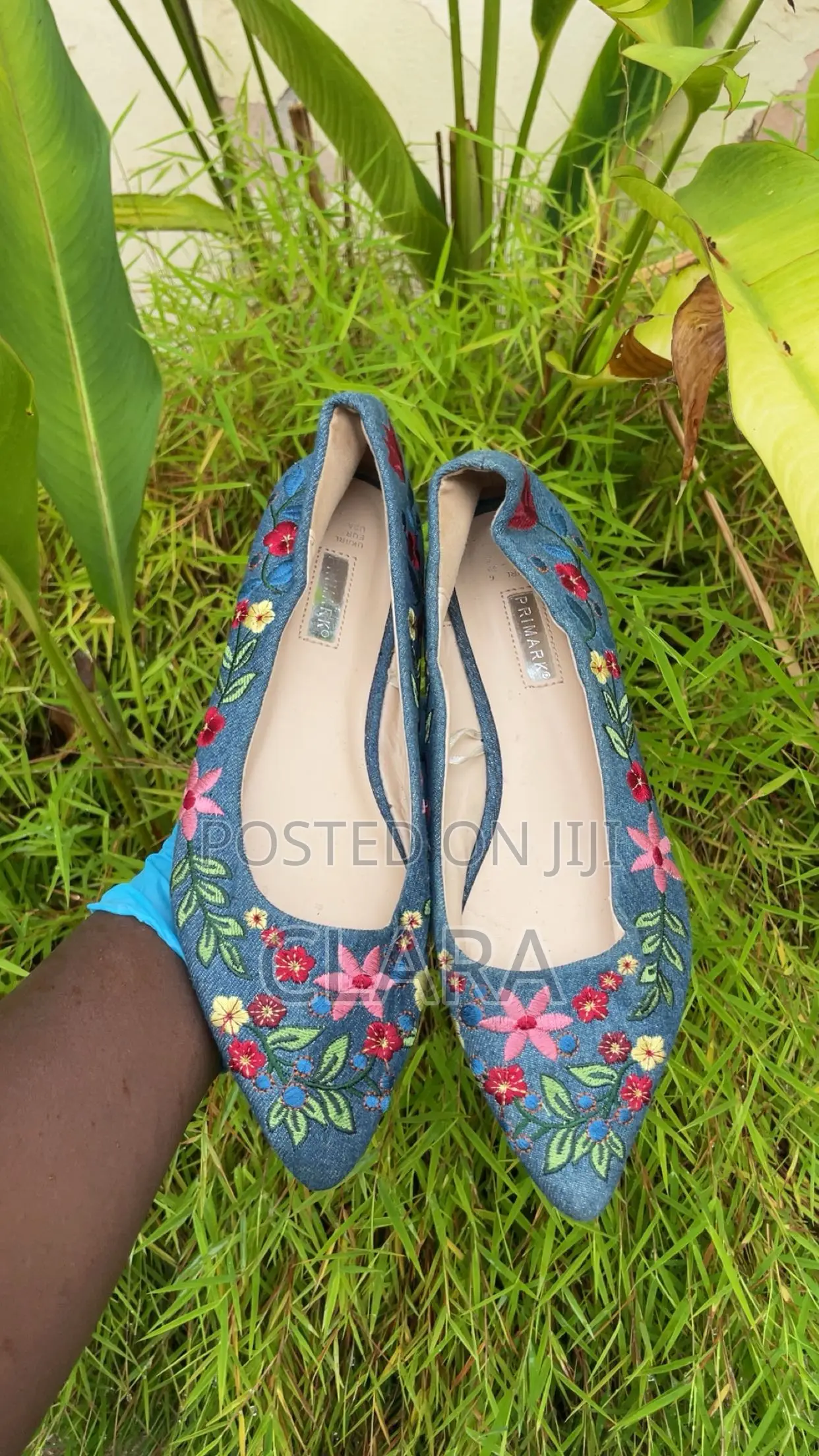 Flat Blue Shoe