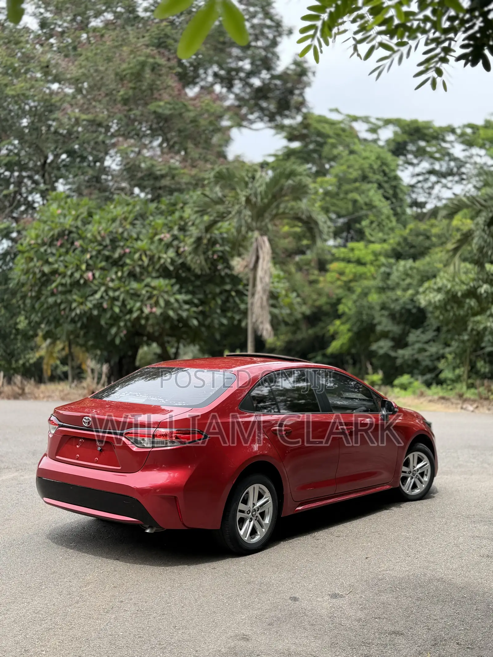 Toyota Corolla XLE 2020 Red