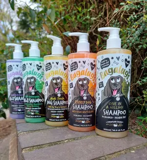 Bugalugs 4 in 1 Dog Shampoo - Cleans, Conditions, Detangle Deodorize