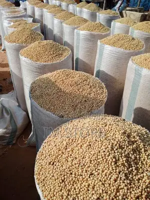 100kg Premium Soya Beans for Sale