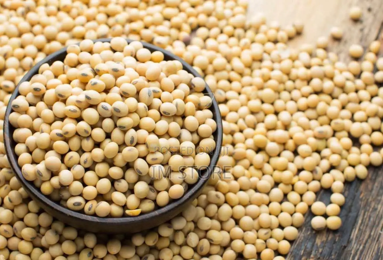 100kg Premium Soya Beans for Sale