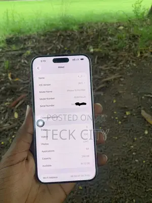 Apple iPhone 15 Pro Max 256 GB Silver