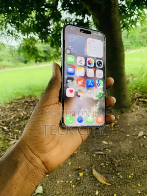 Apple iPhone 15 Pro Max 256 GB Silver