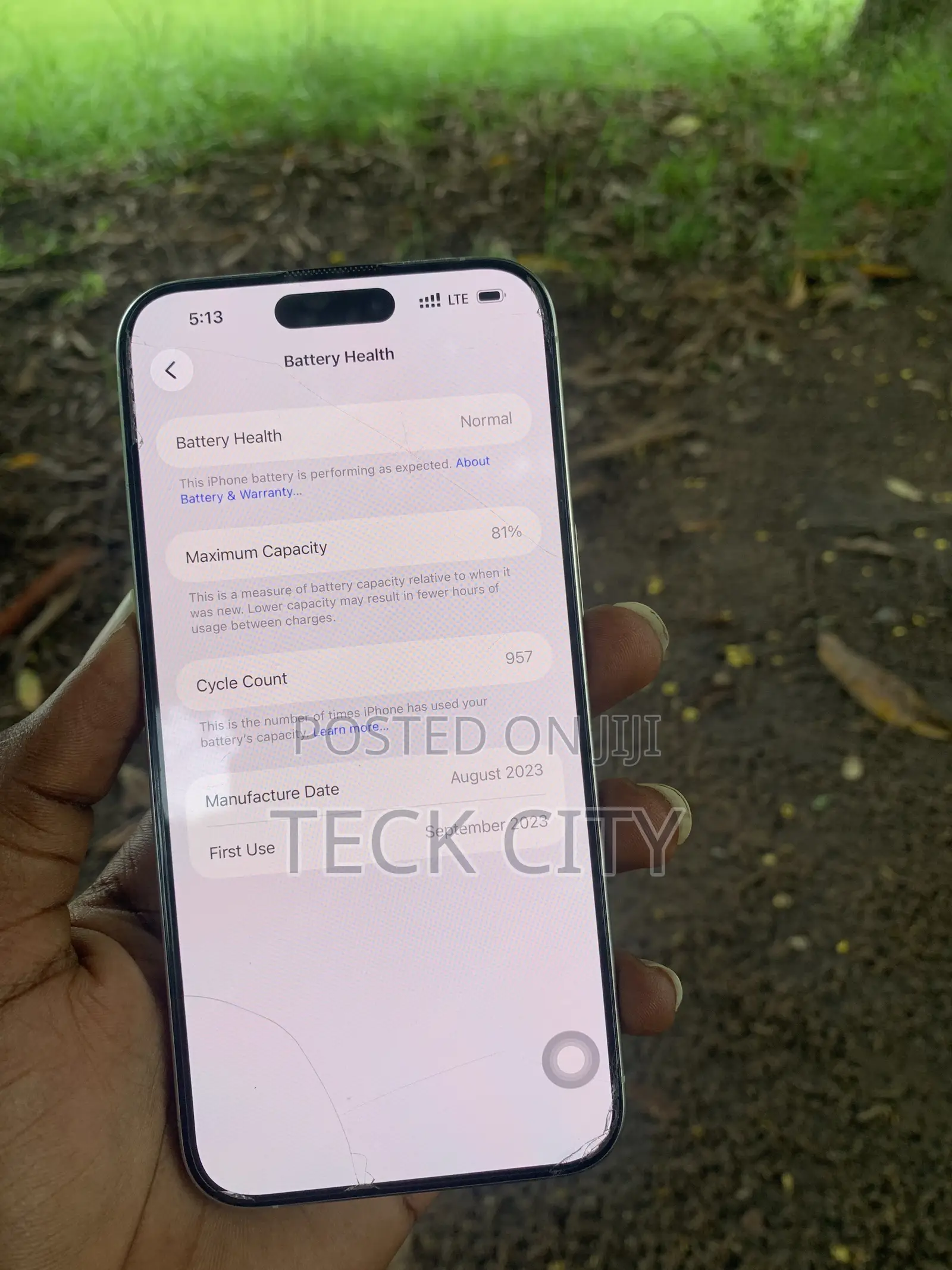 Apple iPhone 15 Pro Max 256 GB Silver