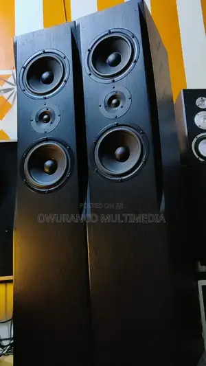 Fine Arts 30- Powerful Floor Standing Speakers