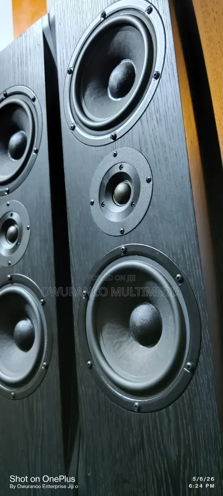 Fine Arts 30- Powerful Floor Standing Speakers