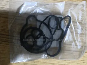 Cruze Oil Seal