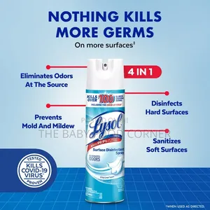 Lysol Disinfectant Spray