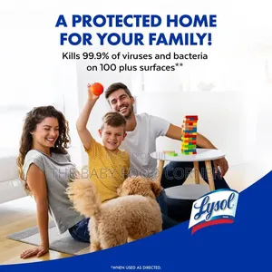 Lysol Disinfectant Spray