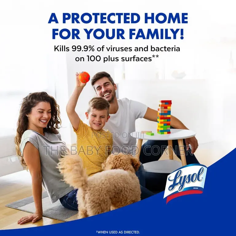 Lysol Disinfectant Spray