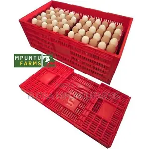Egg Transport Cages