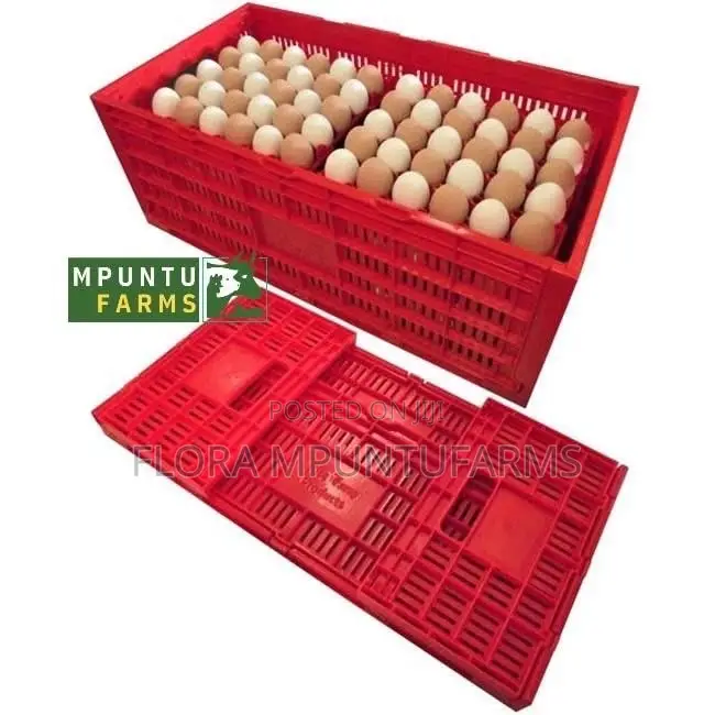 Egg Transport Cages