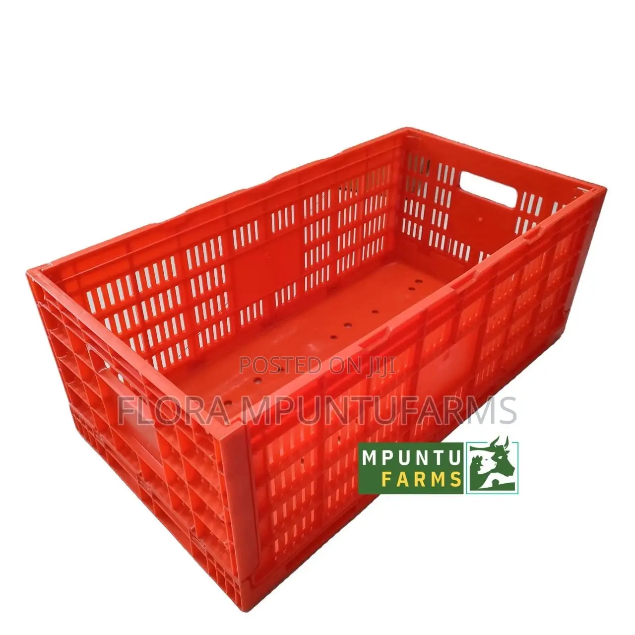 Egg Transport Cages