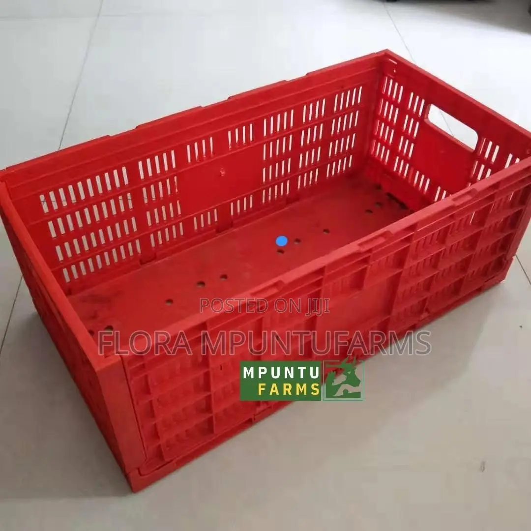 Egg Transport Cages