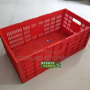 Egg Transport Cages