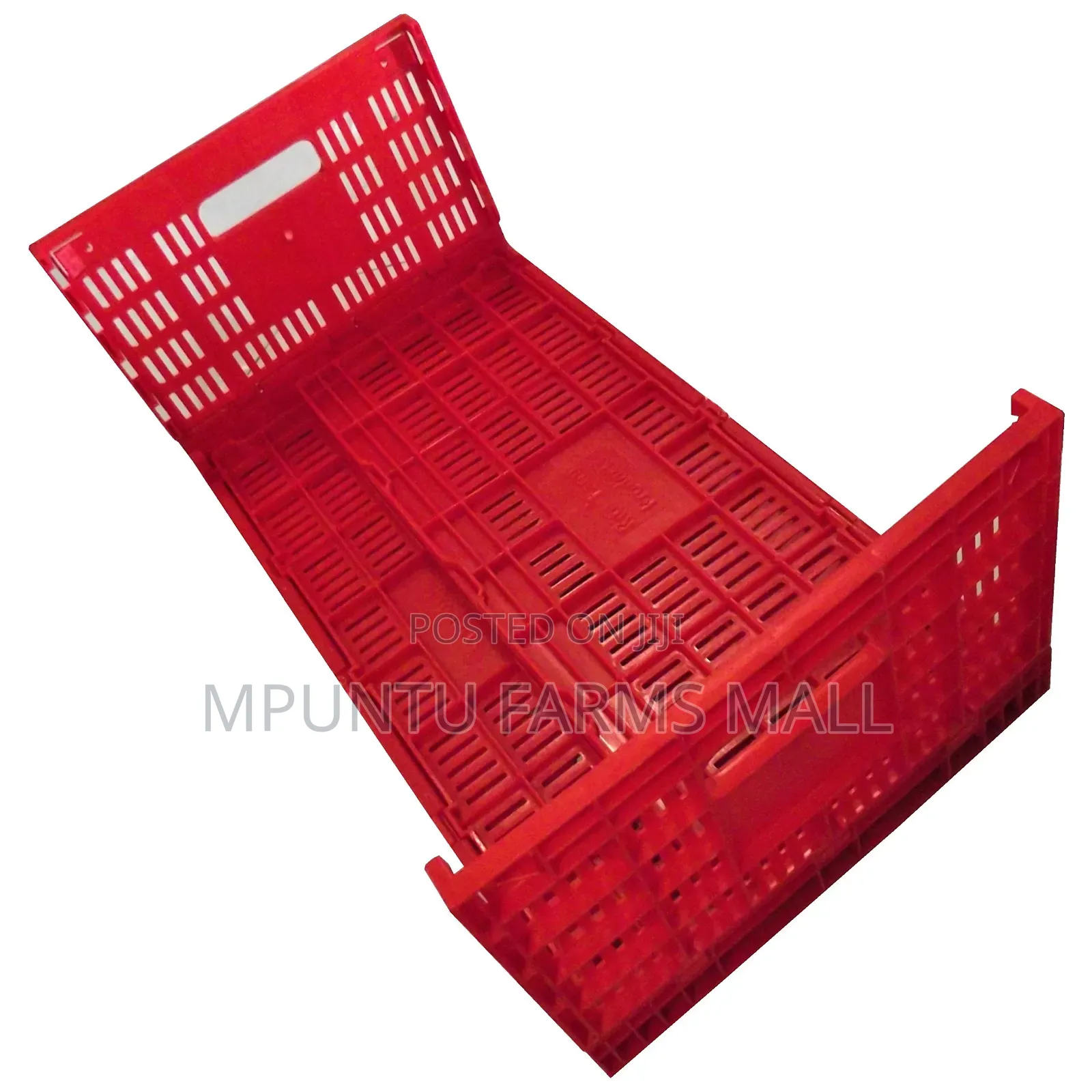 Egg Transporting Basket