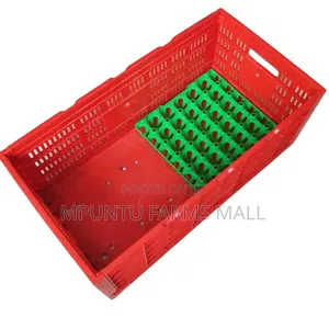 Egg Transporting Basket