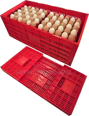 Egg Transporting Basket