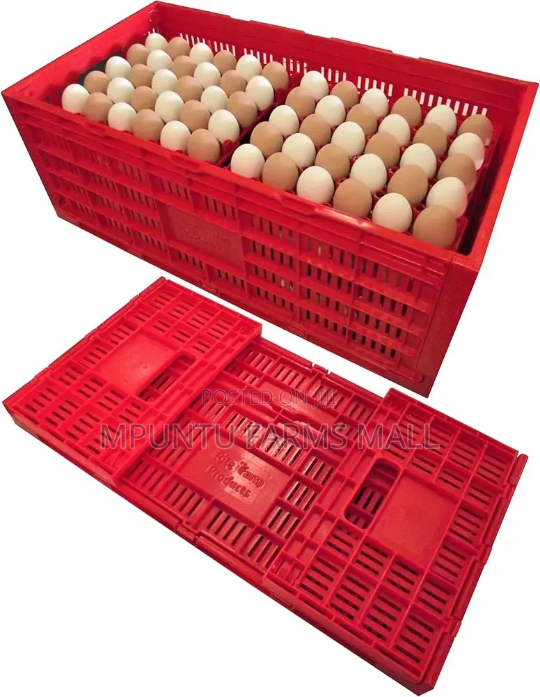 Egg Transporting Basket