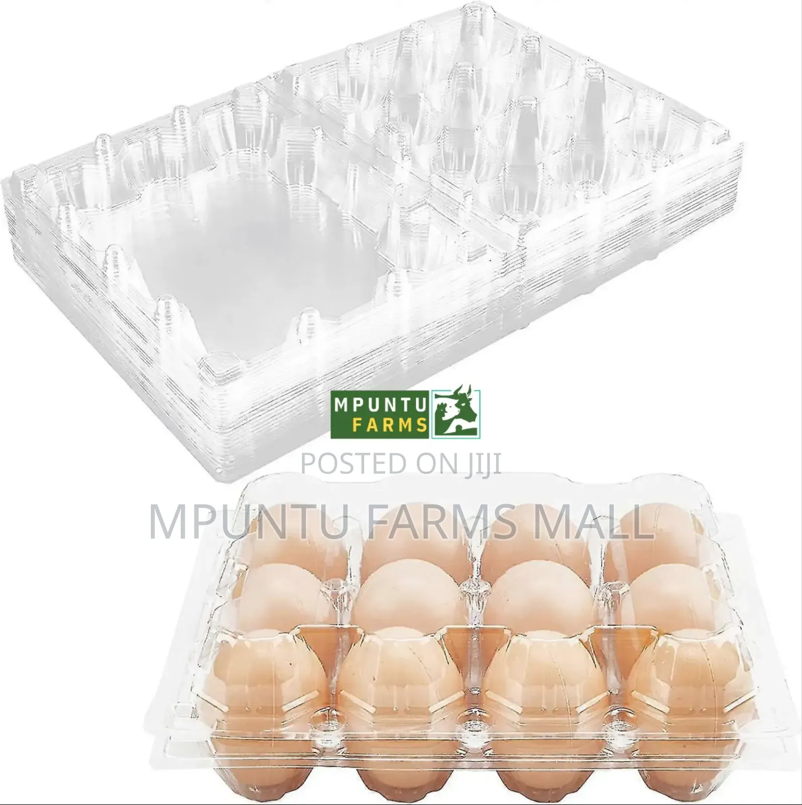 12 Holes Transparent Egg Crates