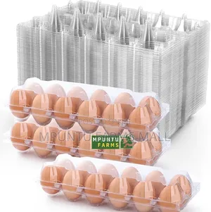 12 Holes Transparent Egg Crates
