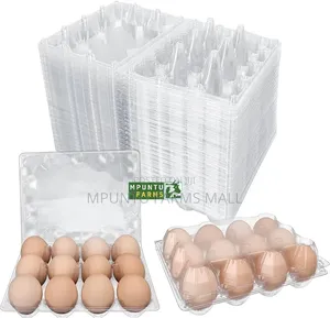 12 Holes Transparent Egg Crates