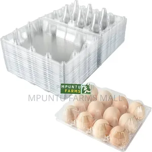 12 Holes Transparent Egg Crates