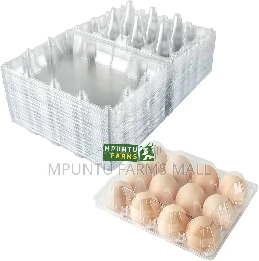 12 Holes Transparent Egg Crates