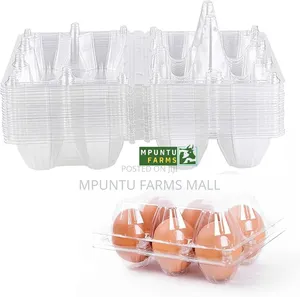 6 Holes Transparent Egg Crates