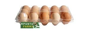 6 Holes Transparent Egg Crates