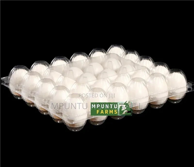 30 Holes Transparent Egg Crate