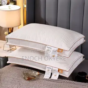 Premium Pillows