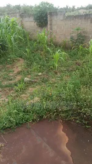 Fenced Land for Sale
