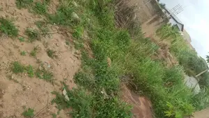 Fenced Land for Sale