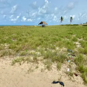 Beachfront Land for Sale in Ada Ocanseykope, Ada Foah