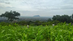 Volta Regn, Ho (Sky Plus Mountain) _ 5 Plots (0.93 Acres) Land
