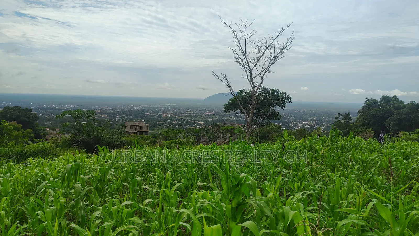 Volta Regn, Ho (Sky Plus Mountain) _ 5 Plots (0.93 Acres) Land