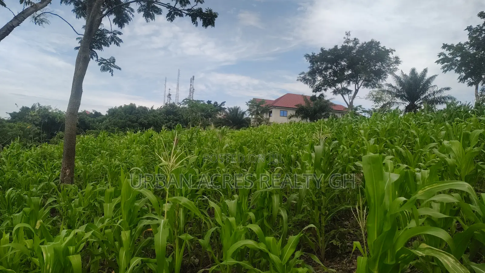 Volta Regn, Ho (Sky Plus Mountain) _ 5 Plots (0.93 Acres) Land