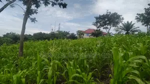 Volta Regn, Ho (Sky Plus Mountain) _ 5 Plots (0.93 Acres) Land