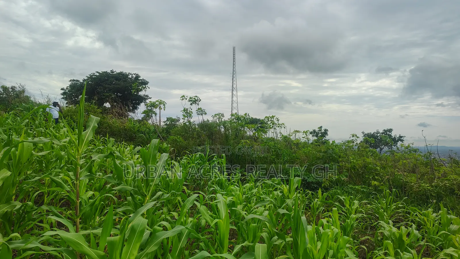 Volta Regn, Ho (Sky Plus Mountain) _ 5 Plots (0.93 Acres) Land