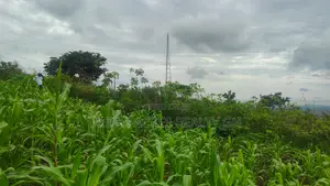 Volta Regn, Ho (Sky Plus Mountain) _ 5 Plots (0.93 Acres) Land