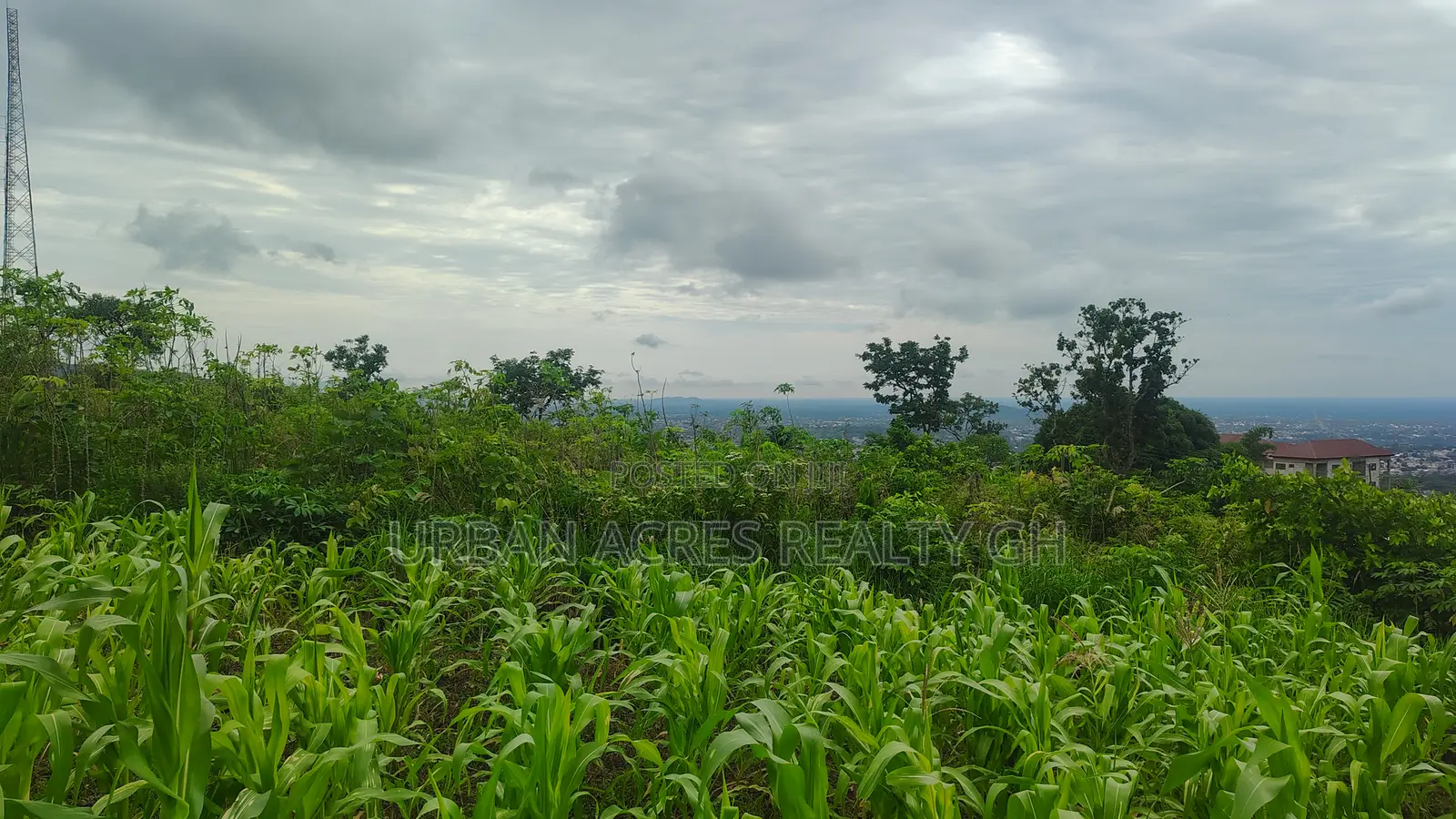 Volta Regn, Ho (Sky Plus Mountain) _ 5 Plots (0.93 Acres) Land