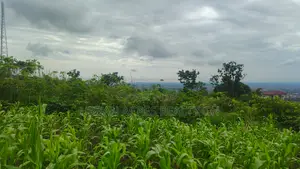 Volta Regn, Ho (Sky Plus Mountain) _ 5 Plots (0.93 Acres) Land