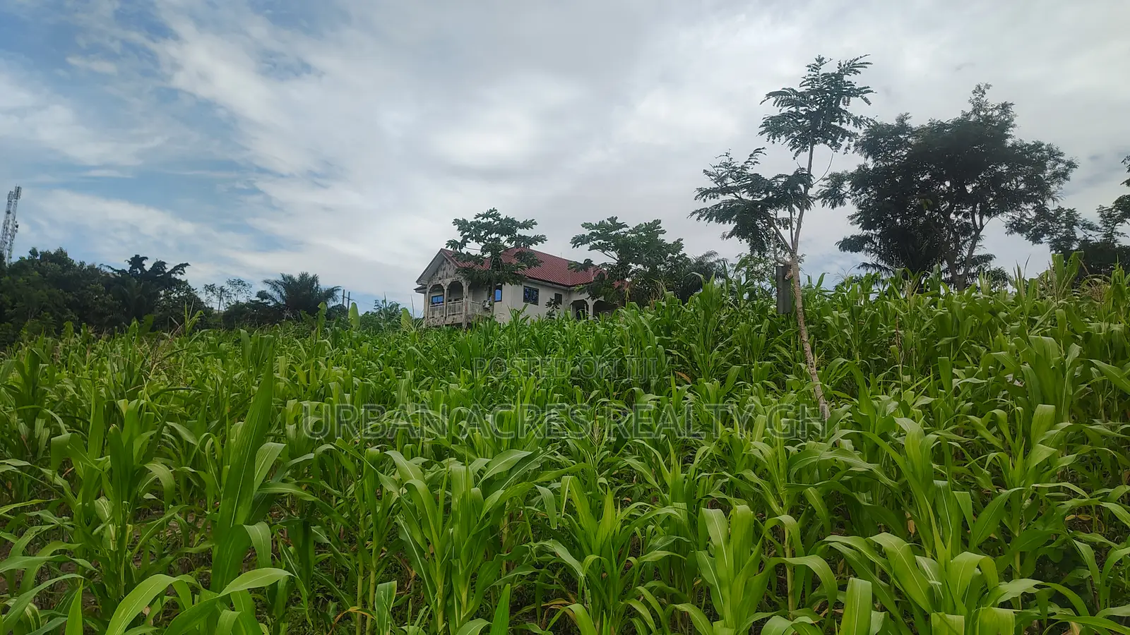 Volta Regn, Ho (Sky Plus Mountain) _ 5 Plots (0.93 Acres) Land