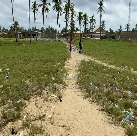 Beachfront Land for Sale in Ada Ocanseykope, Ada Foah