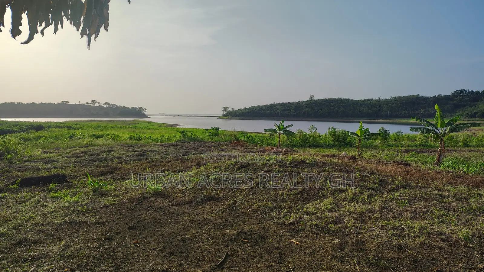 V/R, Tongor (Kaira) _ 10.64 Acres Irrigable Farmland